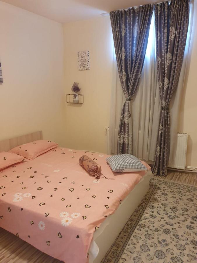 Relax Haus Hotel Hunedoara Esterno foto